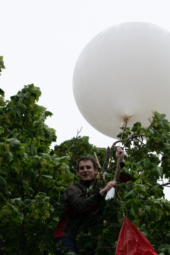 Photos from the experiment 5